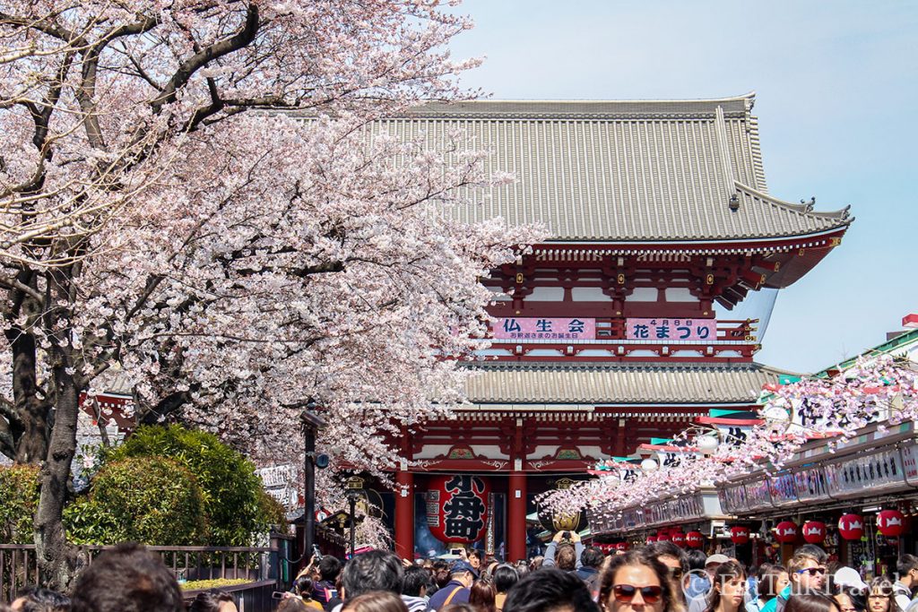 If you can make your two weeks in Japan coincide with Sakura season, you won't be disappointed