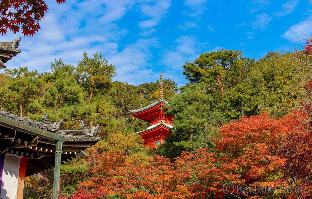 If you time it right, you can see beautiful foliage during your two weeks in Japan